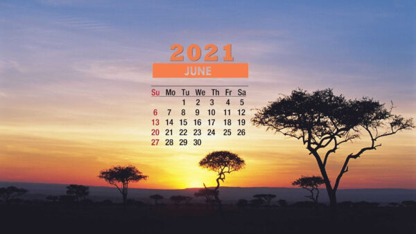 Wallpaper 2021, Yellow, Sky, Blue, Calender, June, Background, Desktop