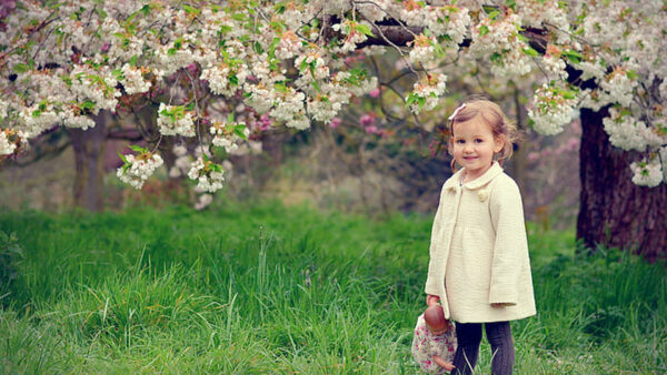 Wallpaper Blossom, Dress, Flowers, Cherry, Girl, Yellow, Cute, Standing, Grass, Jeans, Wearing, With, Branches, Green, Trees, Little, Light, Toy, Under, And, White