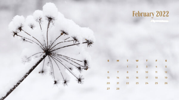 Wallpaper Calendar, Winter, February, Background, 2022