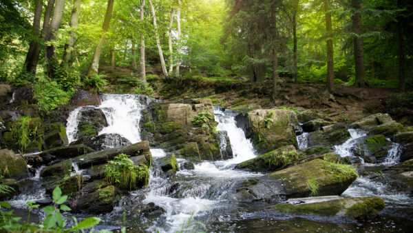 Wallpaper Desktop, Forest, Rock, Stream, With, Nature, Landscape, Waterfall, View, Bushes, Trees, Sunlight