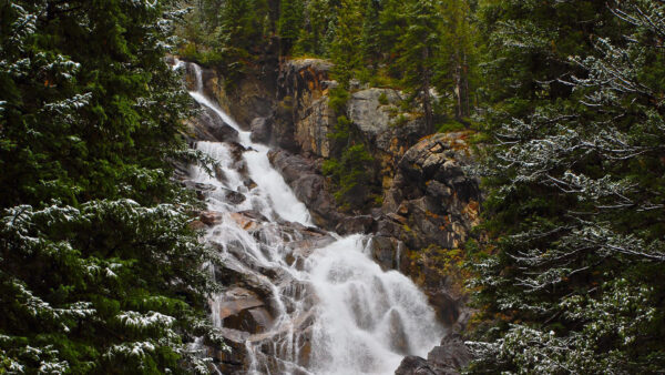 Wallpaper Waterfall, Rocks, Nature, Tree, Snow, Background, Covered, Stream, Desktop, Stones, Forest, Branches, Between