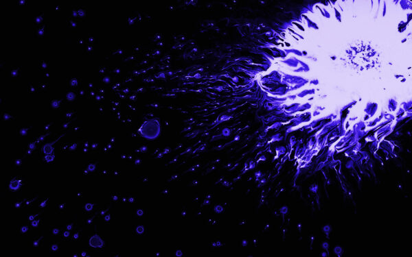 Wallpaper Splash, Violet