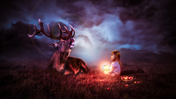 Wallpaper Deer, Night, Lantern, Child, The, With