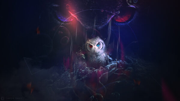 Wallpaper Mystic, Owl