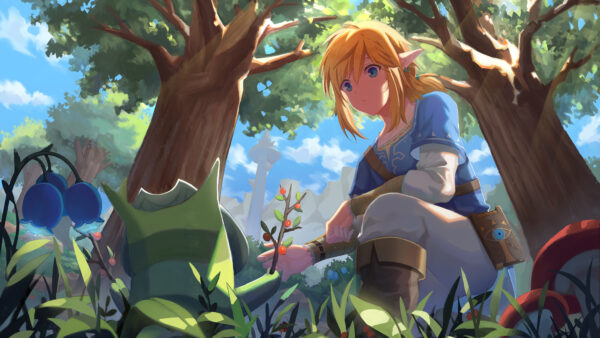 Wallpaper Games, Wild, Legend, Desktop, Zelda, Breath