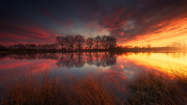 Wallpaper Red, Desktop, Green, Between, During, Under, Cloudy, Nature, Sunset, Sky, River, And, Mobile, Lake, Grass