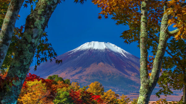 Wallpaper Mountain, Sky, Blue, Under, Nature, Trees, White, And, Autumn, Purple, Landscape, Desktop, Colorful, Covered