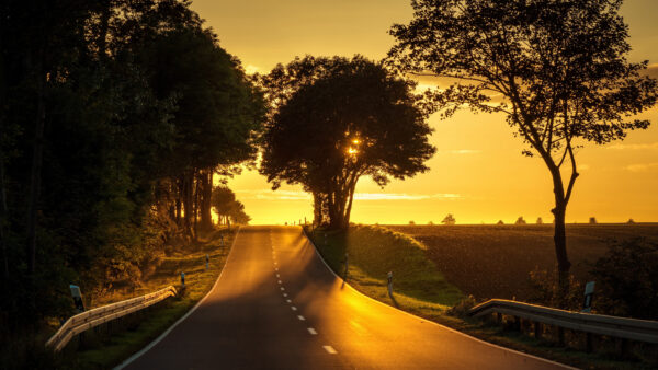 Wallpaper Field, Sunlight, Between, Road, Desktop, With, Nature, Mobile