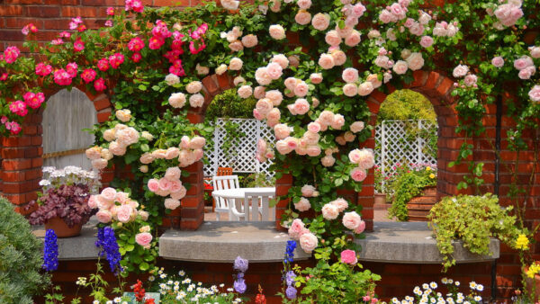 Wallpaper And, Table, Rose, White, Desktop, Nature, Fence, Chair, Garden, With