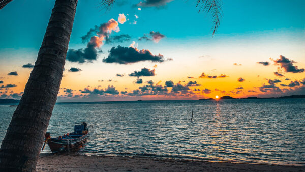 Wallpaper Black, Nature, Clouds, Sea, Yellow, Beach, Tree, Mobile, Sunset, Desktop, Palm