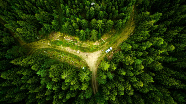 Wallpaper Between, Nature, Aerial, Forest, Path, Green, View, Covered, Trees