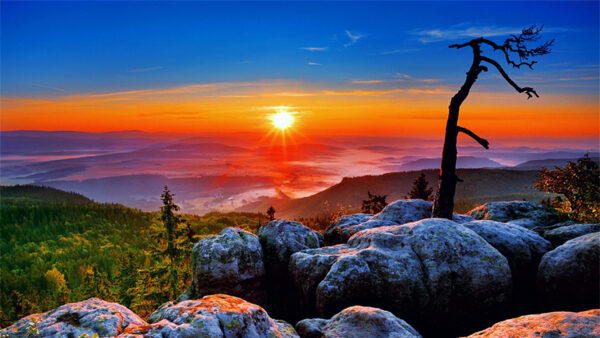 Wallpaper Yellow, Sky, Clouds, Forest, Stones, Background, Plants, Trees, Blue, Under, Sunset, Green, Bushes, Red, Rocks
