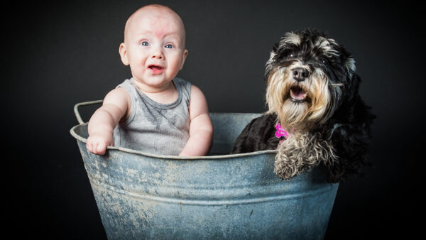 Wallpaper Cute, Big, Sitting, Near, Boy, Background, Little, Black, Vessel, Dog, Inside