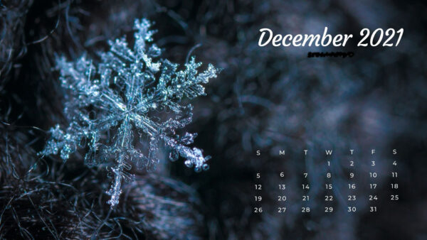 Wallpaper December, 2021, Calendar, Snowflake, Background, Blur