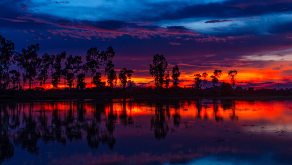 Wallpaper Water, Landscape, Trees, View, Nature, Silhouette, Background, Reflection