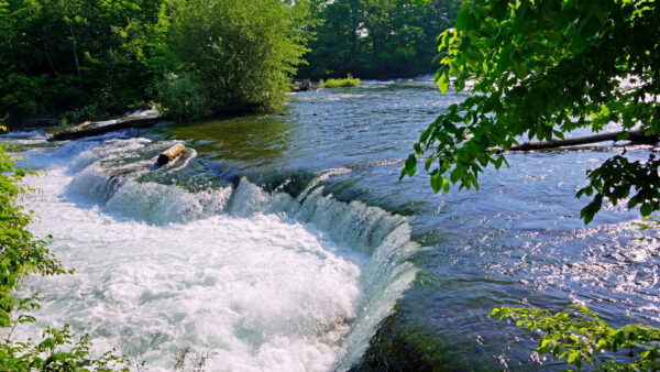 Wallpaper Beautiful, Surrounded, Waterfall, Scenery, Nature, Green, Stream, Trees, Forest