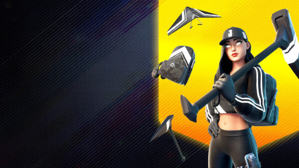 Wallpaper Skin, Player, Fortnite