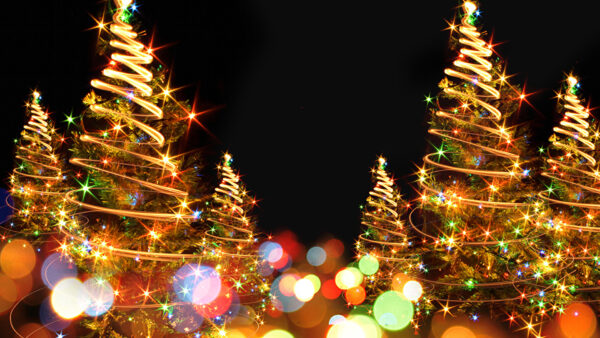 Wallpaper Decoration, Background, Trees, Lights, Colorful, Christmas, Black, Bokeh, Stars