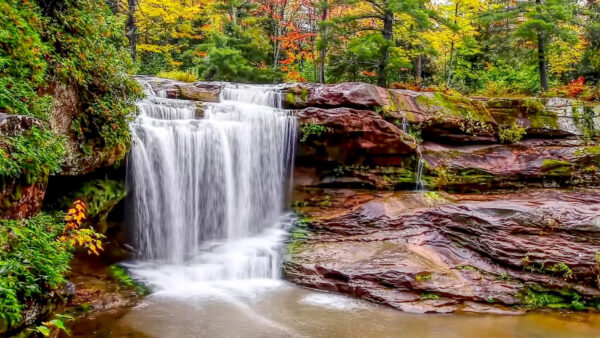 Wallpaper Trees, Waterfall, Autumn, Rocks, Nature, Stream, Surrounded, Background, Forest, Colorful