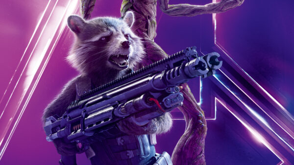 Wallpaper Rocket, Avengers, Infinity, War, Raccoon