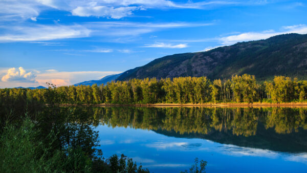 Wallpaper Nature, With, Trees, Green, Reflection, Mountain, Lake, Scenery, Greenery, Mobile, Beautiful, View, Desktop
