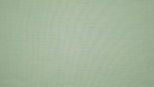 Wallpaper Plain, Sage, Green