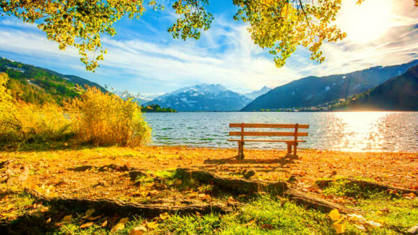 Wallpaper Autumn, Mountain, Desktop, And, With, Landscape, Land, Forest, Grass, Covered, Nature, Trees, Bench