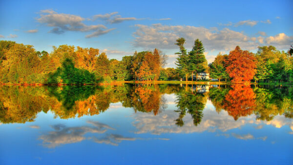 Wallpaper Surrounded, Nature, With, Orange, Trees, Under, Sky, White, Lake, Reflection, Green, Cloudy, Autumn