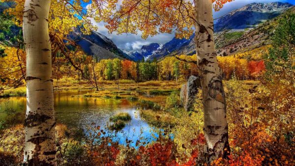 Wallpaper Reflection, Mountains, Nature, Background, Trees, Desktop, Forest, Landscape, Autumn, Colorful, View, Lake