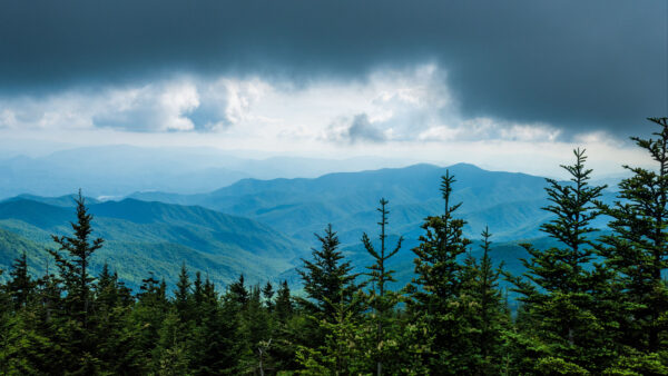 Wallpaper Desktop, Nature, Mobile, Black, Slope, White, Under, Clouds, Sky, Green, Trees, Mountains, Bushes