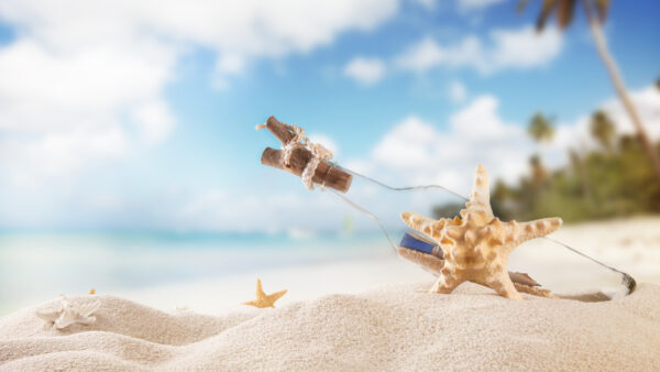 Wallpaper Blur, Shell, Background, Sky, Ocean, Sand, Trees, View, Desktop, Closeup, Star, Beach, Bottle, Mobile