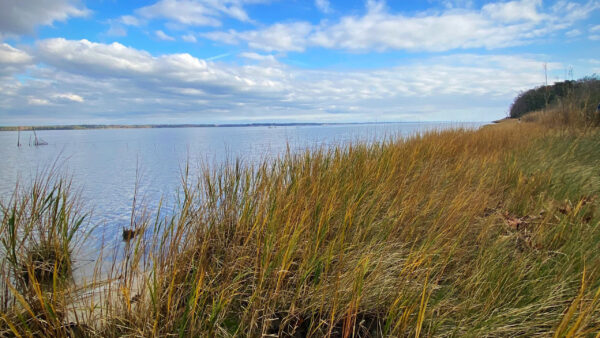 Wallpaper Nature, Blue, Field, Grass, White, Clouds, Green, Sky, Under, River