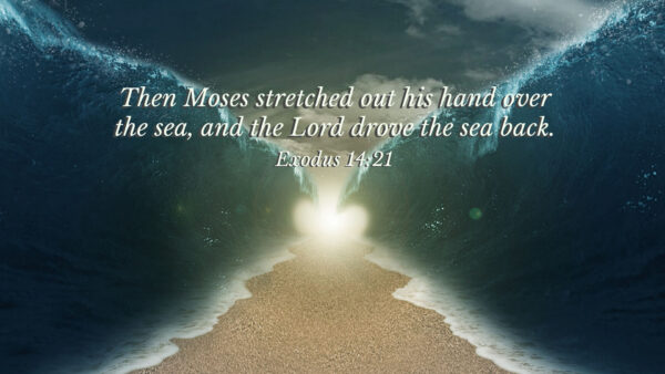 Wallpaper Drove, The, Back, Lord, Sea, Jesus