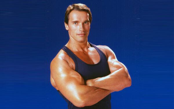 Wallpaper Schwarzenegger, Arnold, Bodybuilder