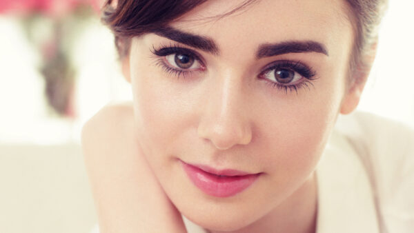 Wallpaper Lily, Collins