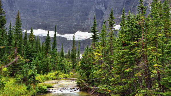 Wallpaper Water, Between, Background, Mobile, Green, Desktop, Mountains, Bushes, Stream, Trees, Plants, Nature