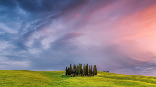 Wallpaper Desktop, Nature, Mobile, Field, Italy, Tuscany