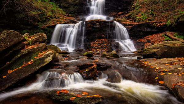 Wallpaper Nature, Between, Desktop, Covered, Waterfall, Algae, Rock