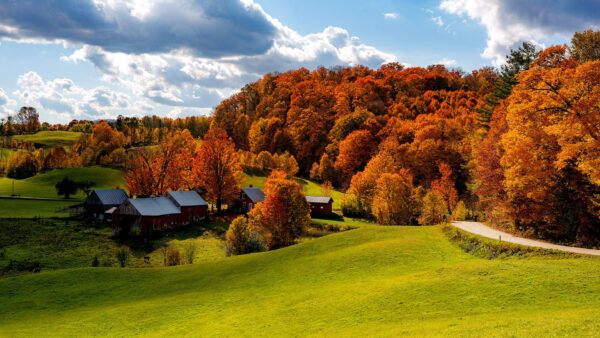 Wallpaper Desktop, Fall, With, Between, Nature, And, Vermont, House, Field, Forest, USA, Road, Under, Sky, Cloudy, Trees, During