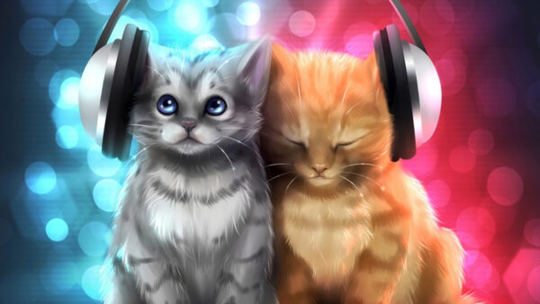 Wallpaper Headphone, Desktop, Picture, Kitten, Kittens, With, Artistic