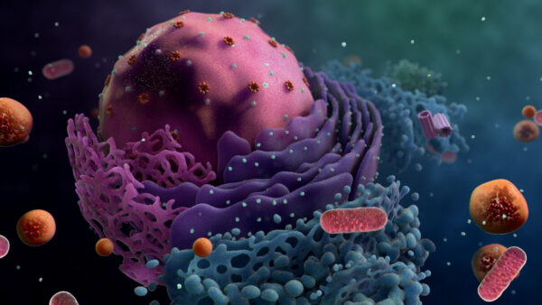 Wallpaper Cell, Biology, Background, Cellular