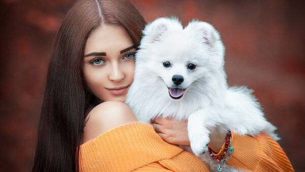 Wallpaper Puppy, Beautiful, Dog, Blur, With, Background, Model, White, Dress, Girls, Girl, Wearing, Orange