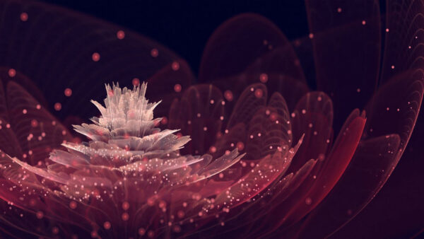 Wallpaper Maroon, Abstract, Flower, Fractal, Glittering