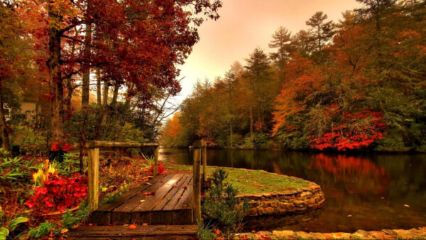 Wallpaper Autumn, Nature, Surrounded, Body, Water, Fall, Trees