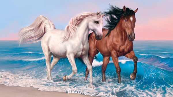 Wallpaper And, Desktop, Seashore, Horses, Brown, Art, White, Horse