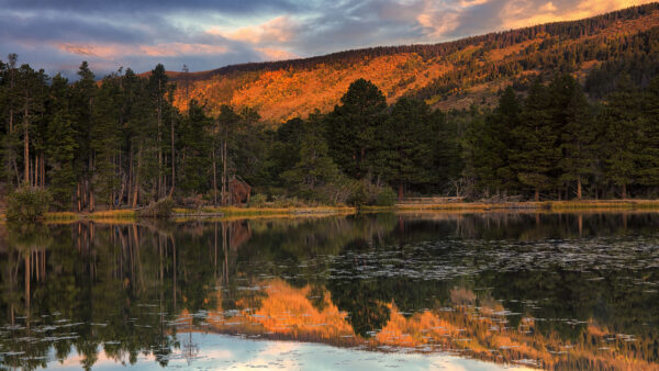 Wallpaper Lake, Reflection, And, Trees, Mountain, Fir, Nature