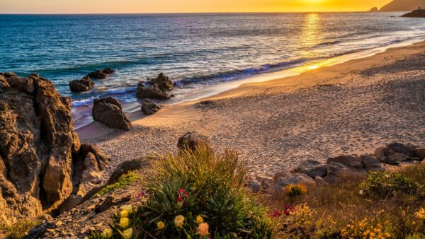 Wallpaper Flowers, Sunrise, Beach, Nature, View, Ocean, Stones, Sand, Beautiful, Yellow, Rock, During