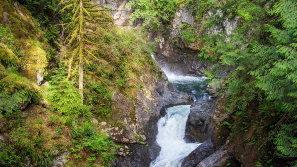 Wallpaper River, Aerial, Trees, Mobile, View, Rocks, Waterfall, Nature, Green, Desktop