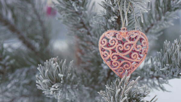 Wallpaper Covered, With, Snow, Desktop, Tree, Christmas, Heart, Decoration