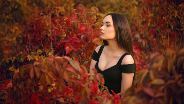 Wallpaper Sitting, Dress, The, Green, Leaves, Girls, Black, Wearing, Model, Field, Middle, Red, Girl, Plants